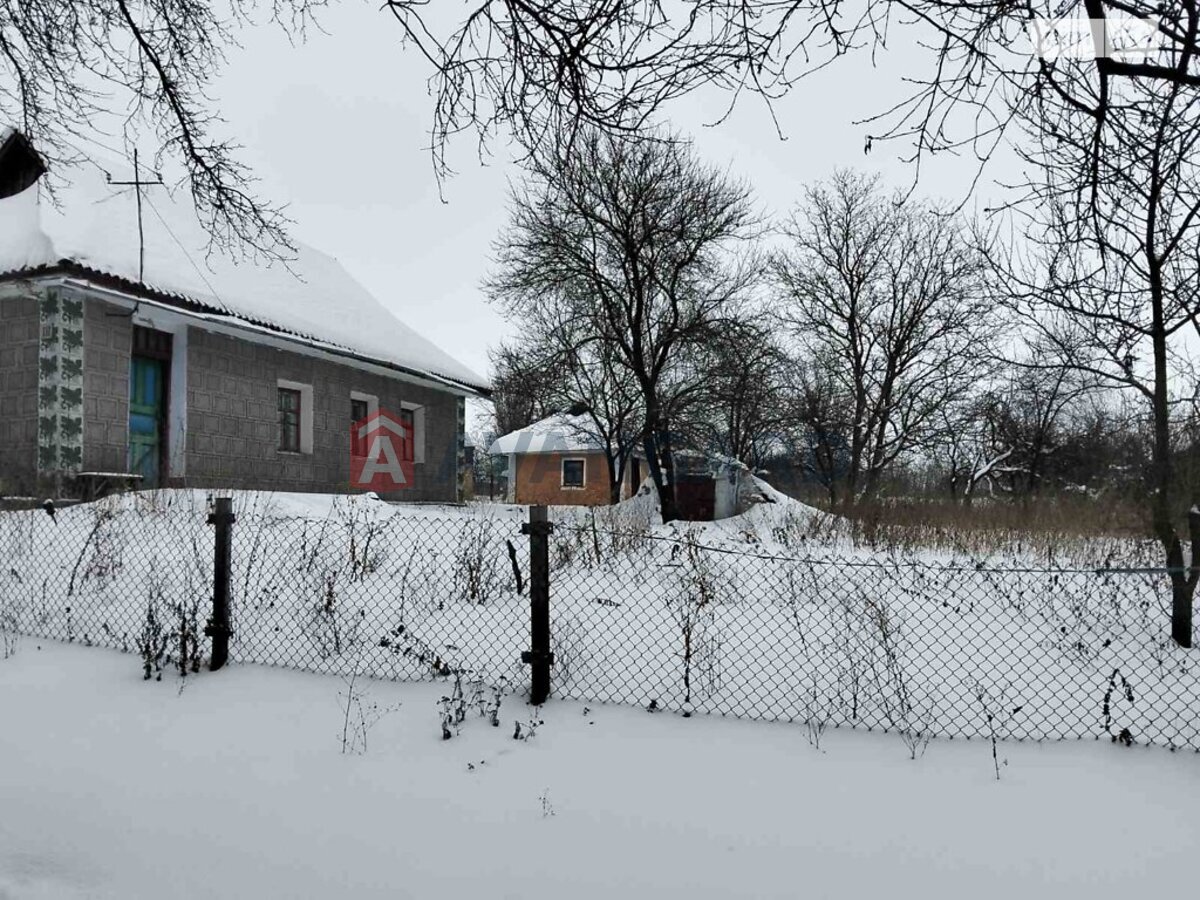 �������, 40 ��.�. ���� 3