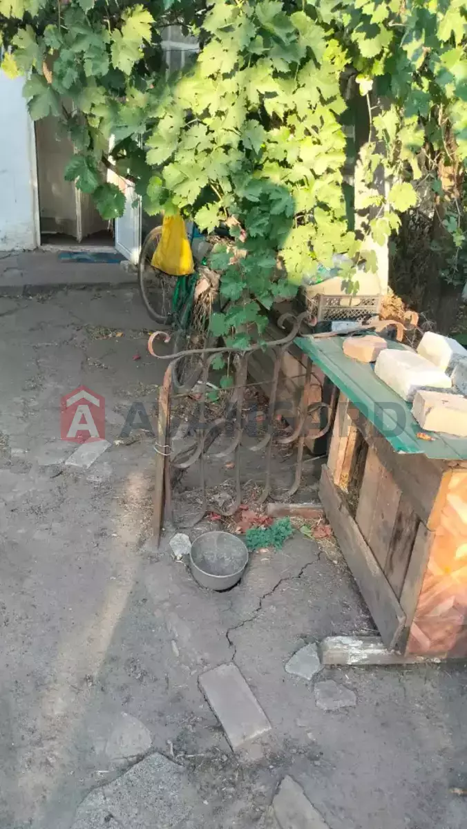 �������, 55 ��.�. ���� 8