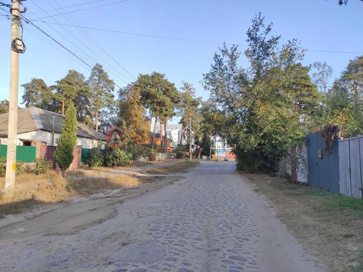 ������� �������, 50 ��.�. ���� 13