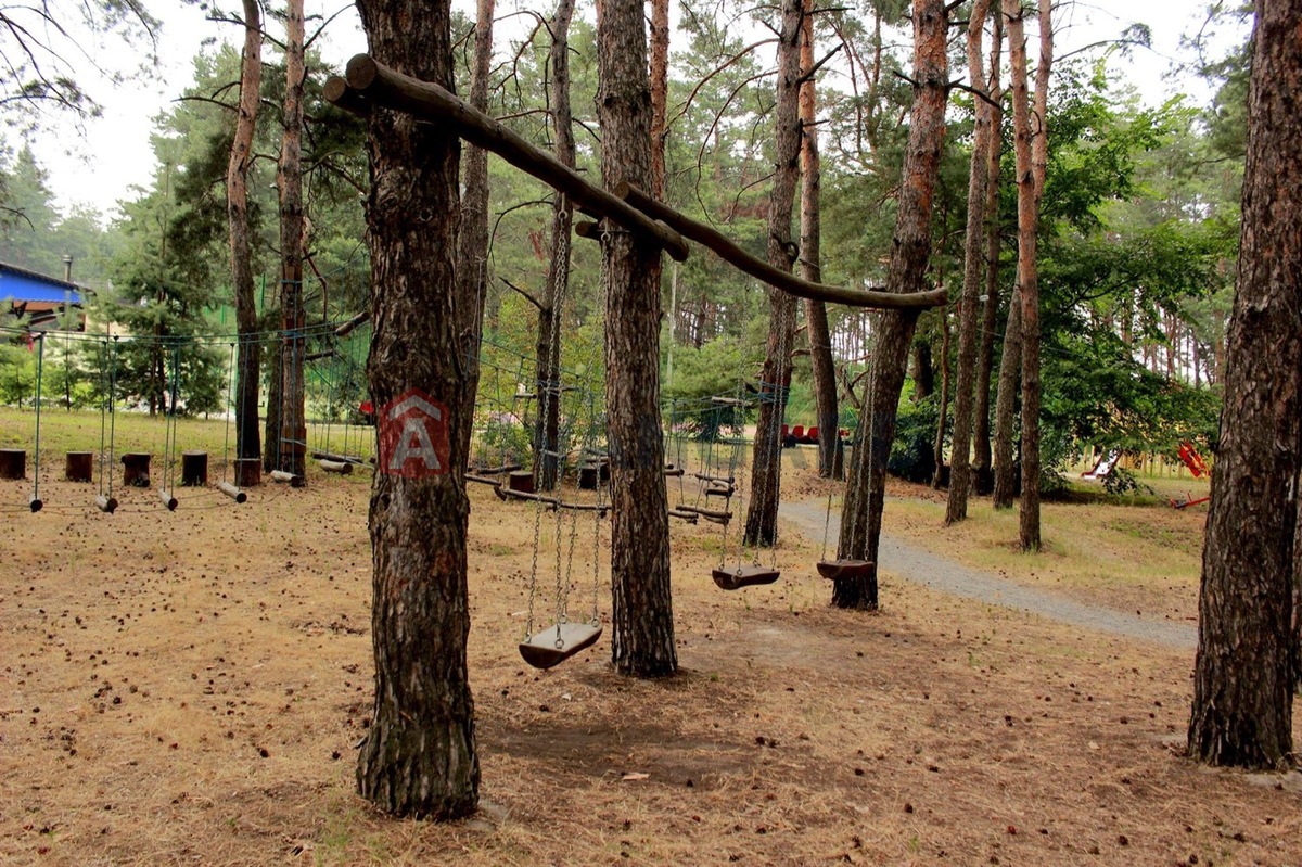 ��������, 315 ��.�. ���� 16