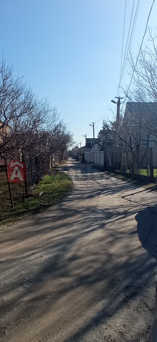 ����, 50 ��.�. ���� 20