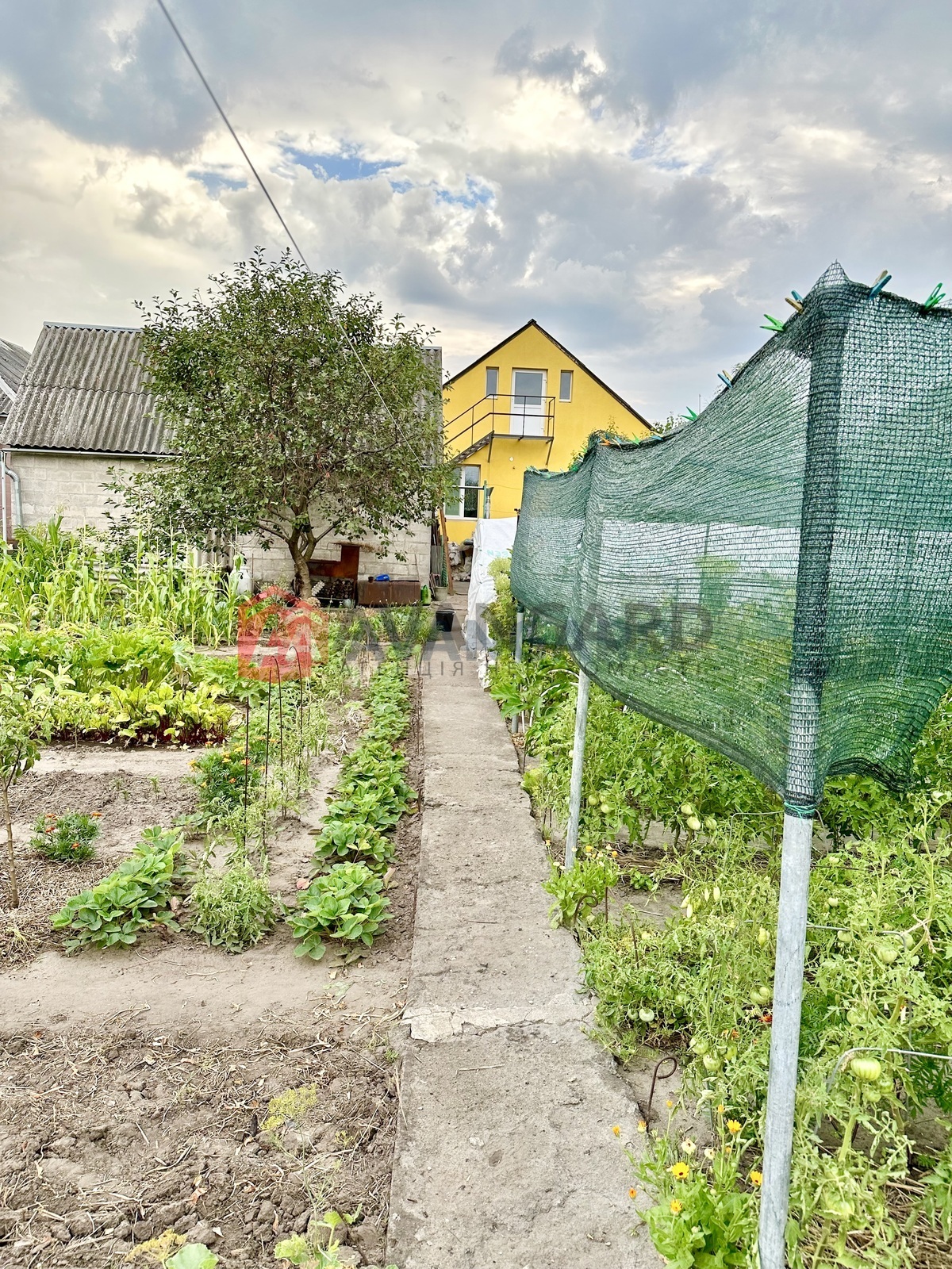 �������, 76 ��.�. ���� 25