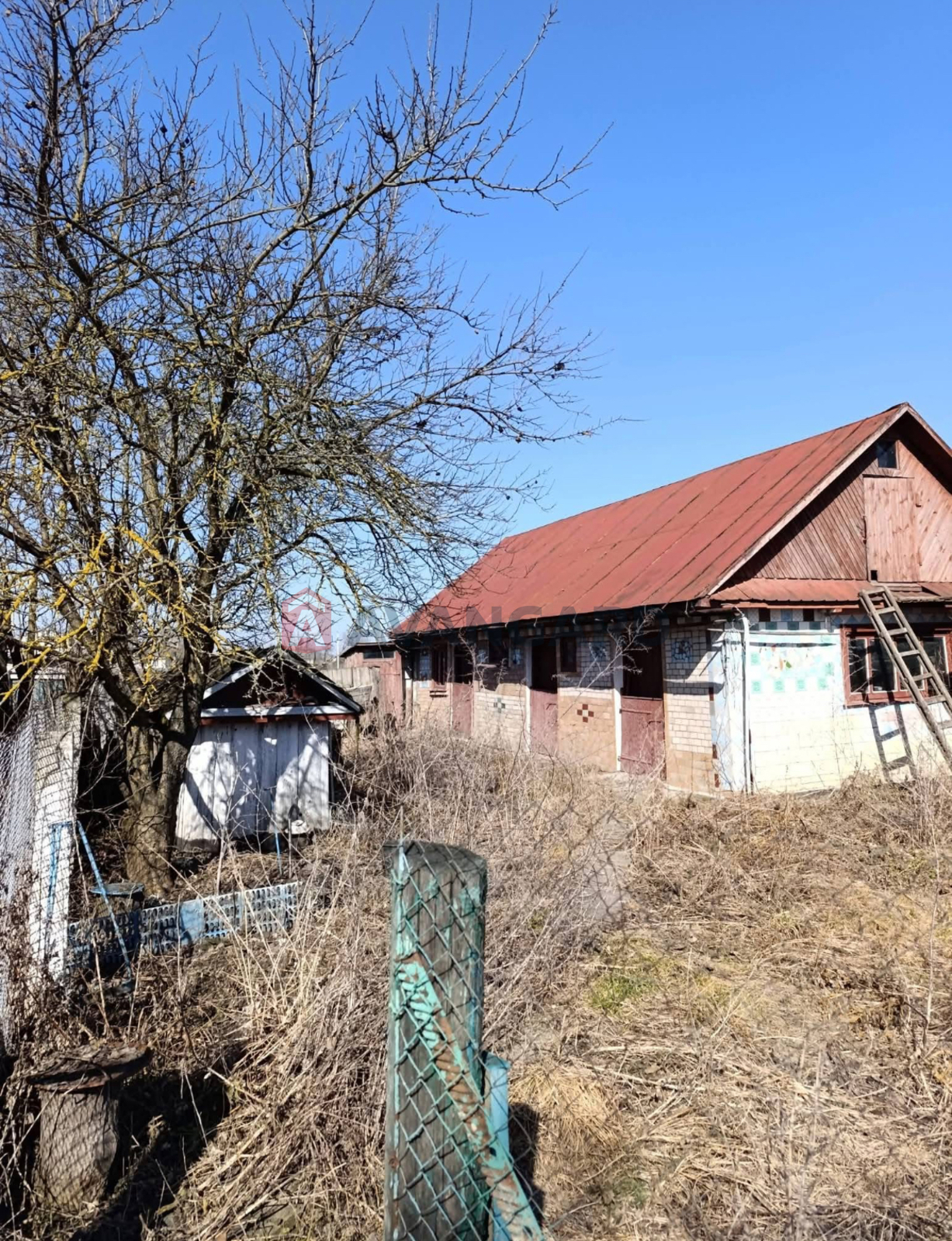 �������, 79 ��.�. ���� 5