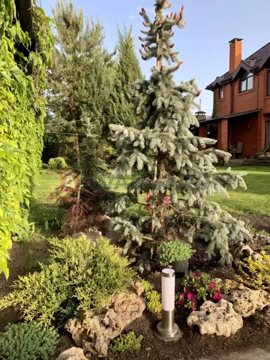 �������, 400 ��.�. ���� 22