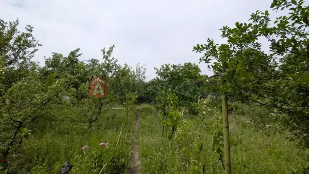 ����, 29 ��.�. ���� 19