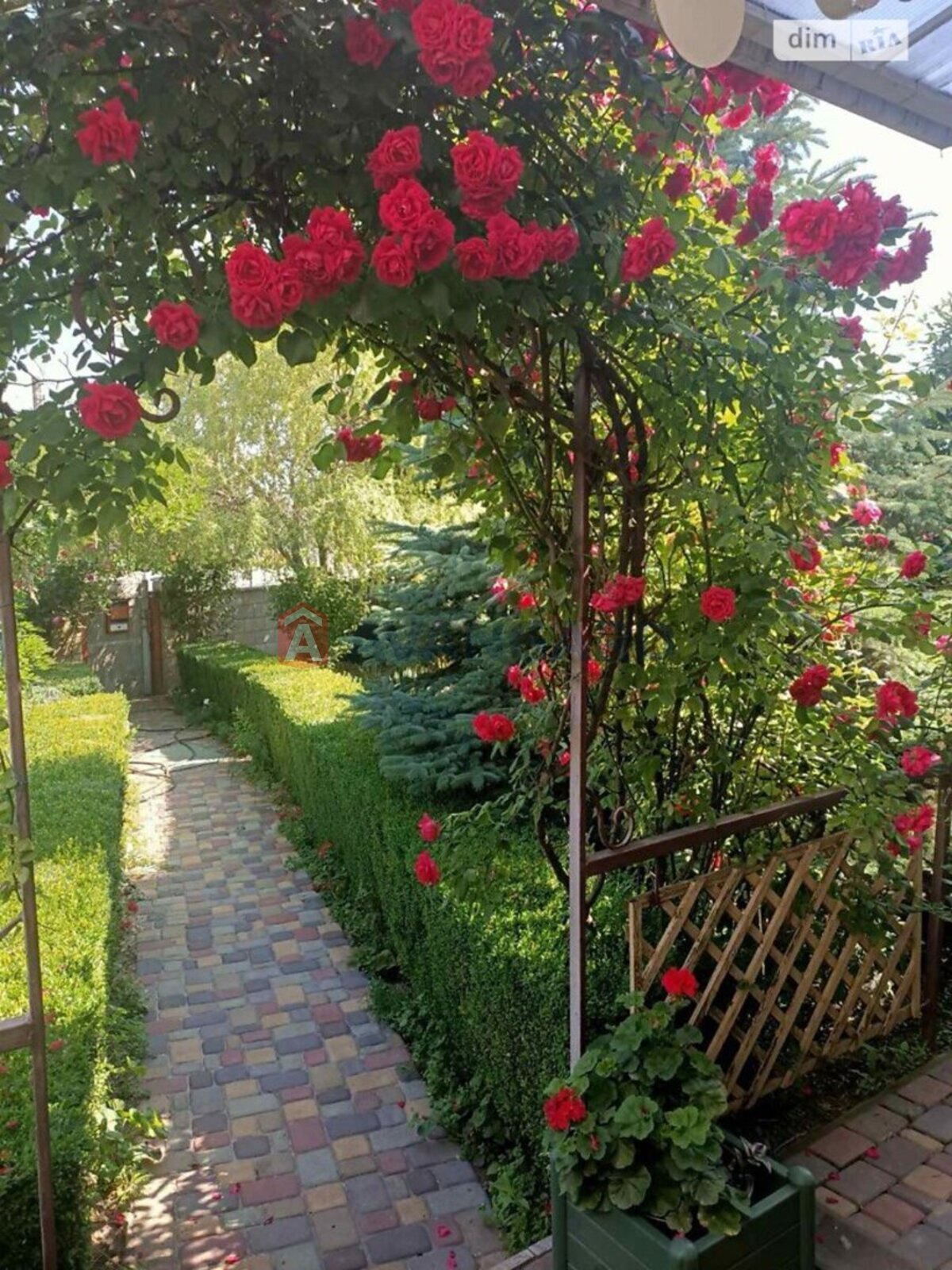 �������, 120 ��.�. ���� 1