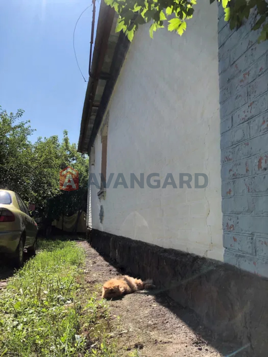 �������, 89 ��.�. ���� 5