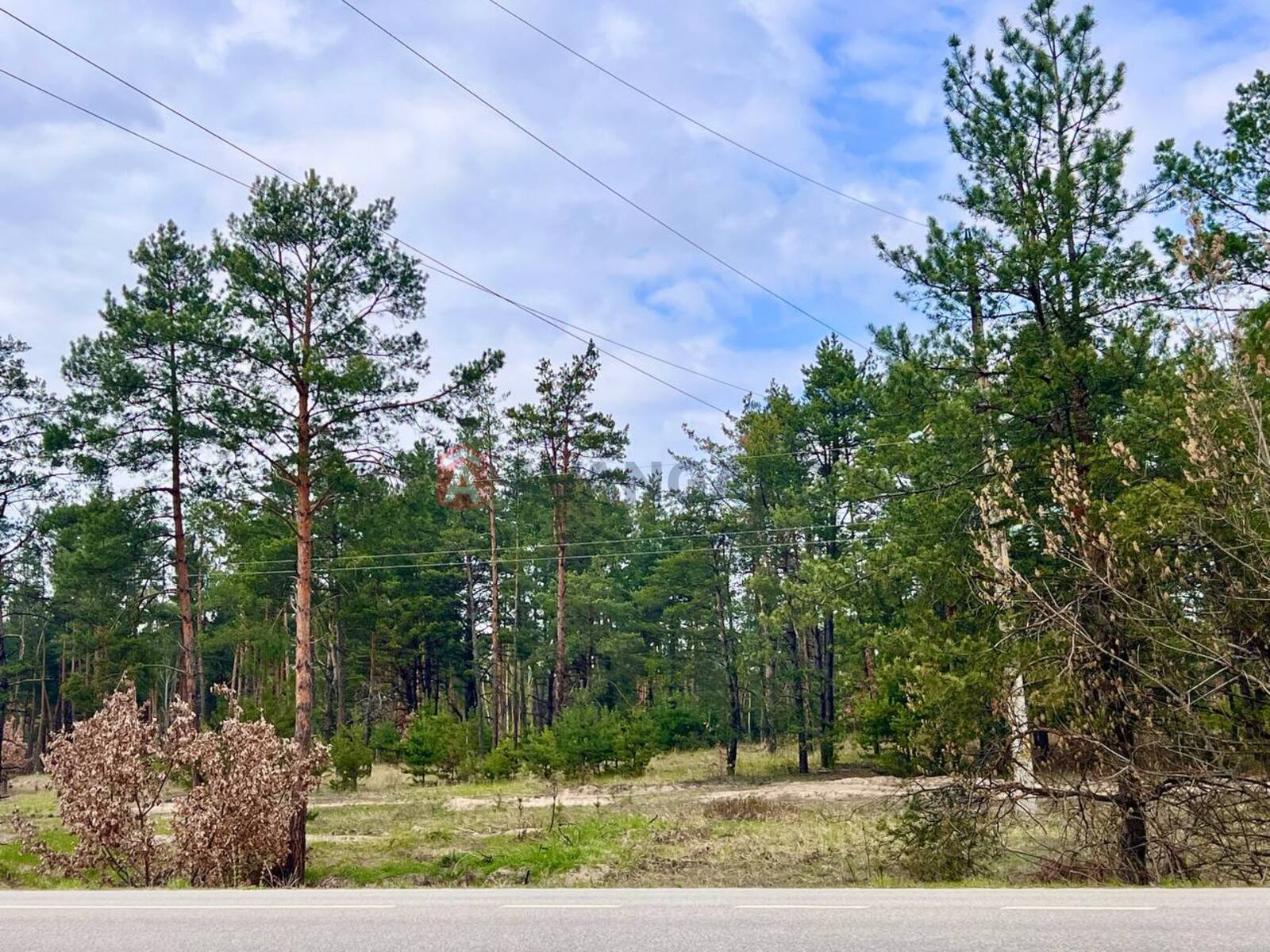 ����, 50 ��.�. ���� 13