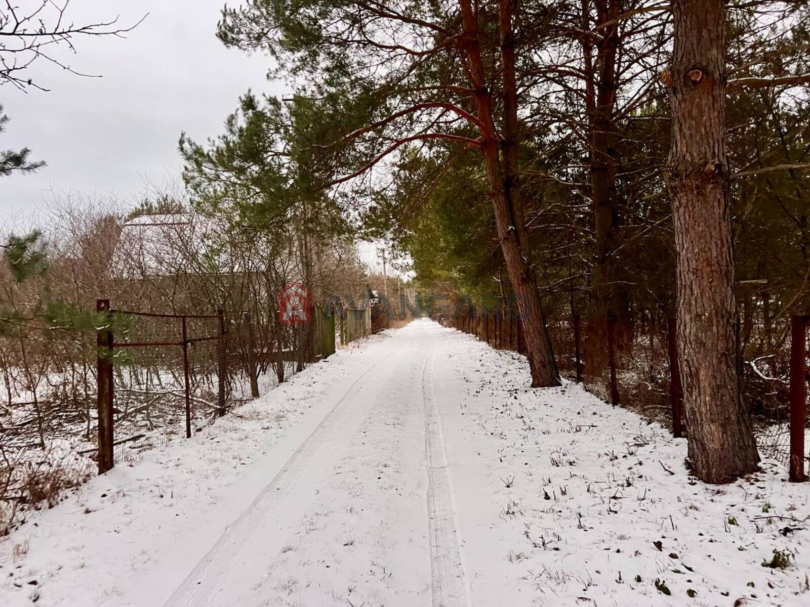 ����, 50 ��.�. ���� 18