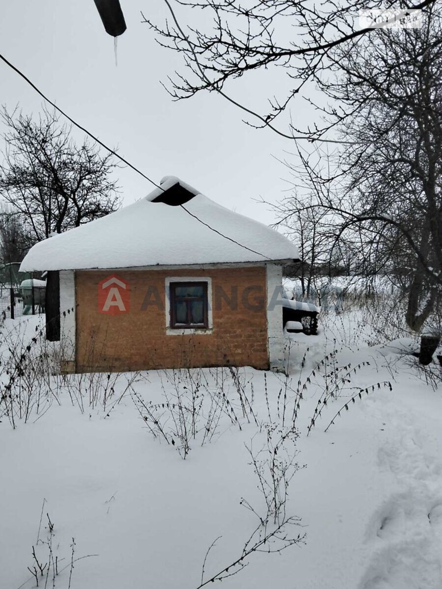 �������, 40 ��.�. ���� 7