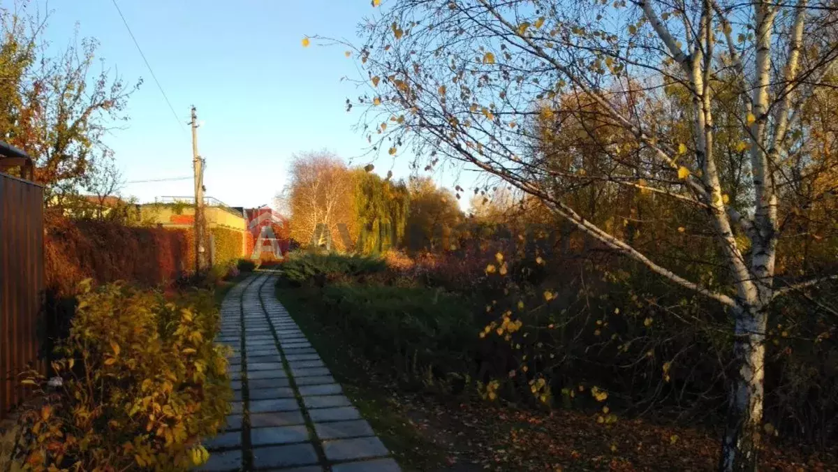 ����, 116 ��.�. ���� 17