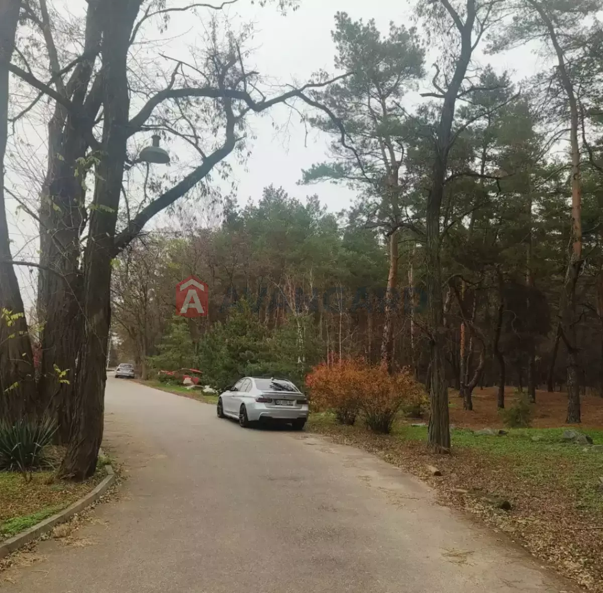 �������, 199 ��.�. ���� 28