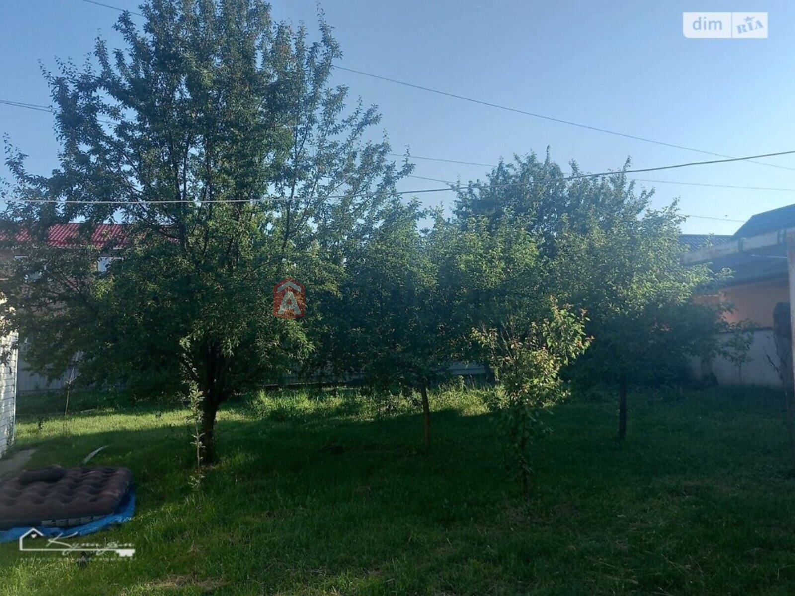 �������, 231 ��.�. ���� 8