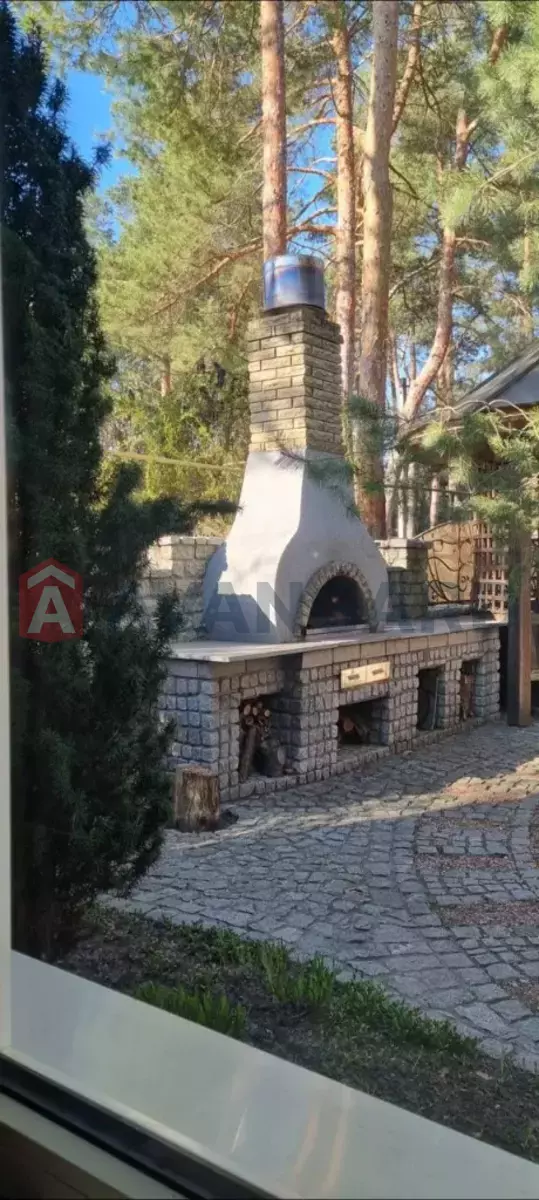 �������, 217 ��.�. ���� 8