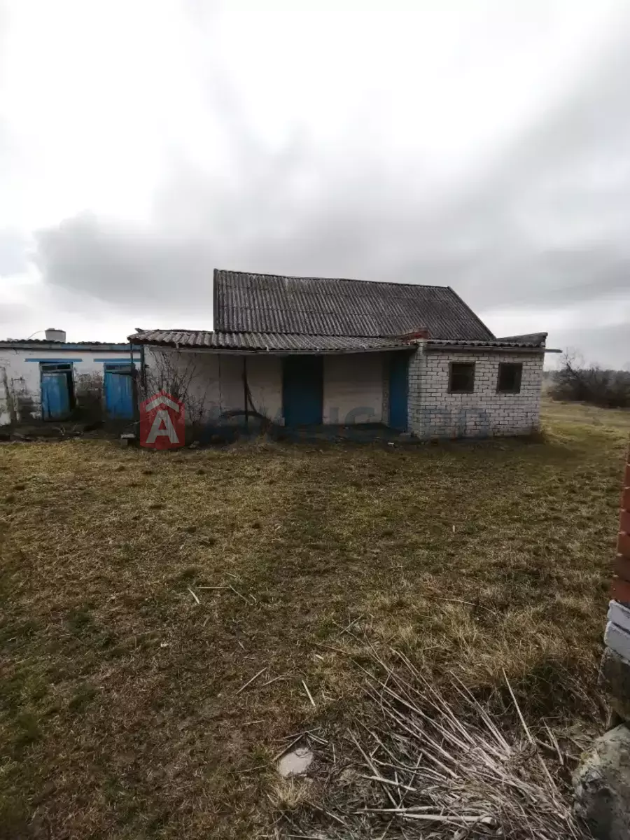 �������, 75 ��.�. ���� 4