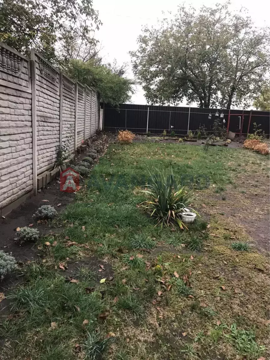 ����, 37 ��.�. ���� 1