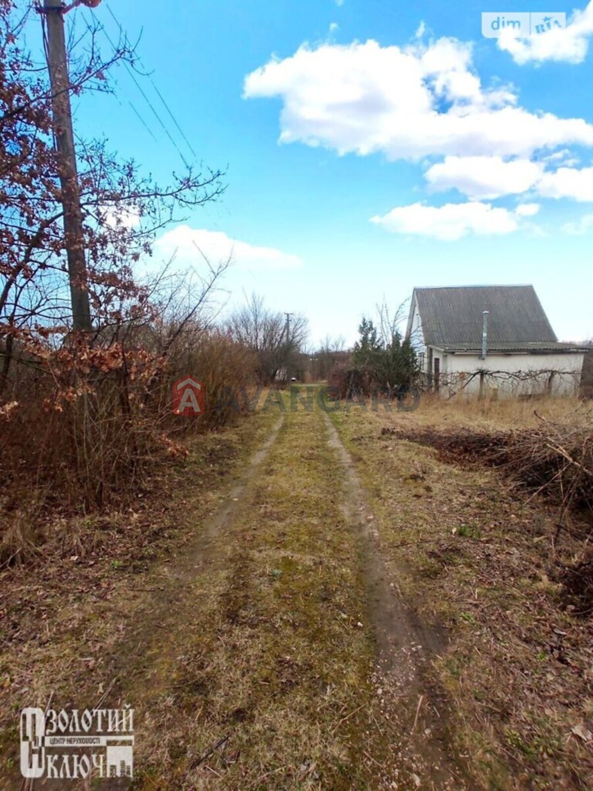 �������, 50 ��.�. ���� 6