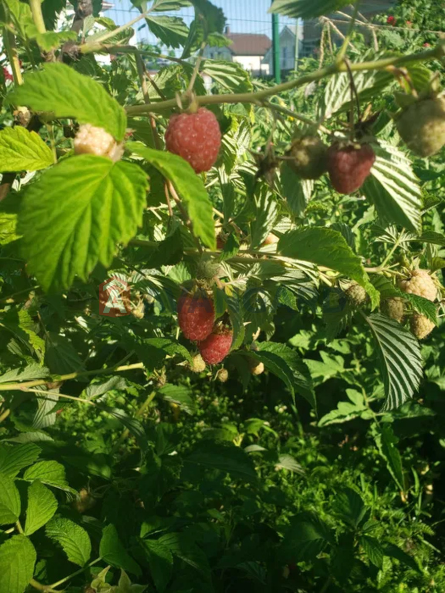 �������, 190 ��.�. ���� 18