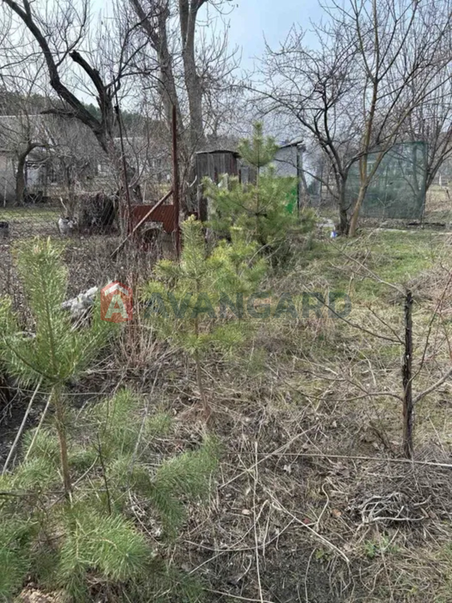 ����, 20 ��.�. ���� 15