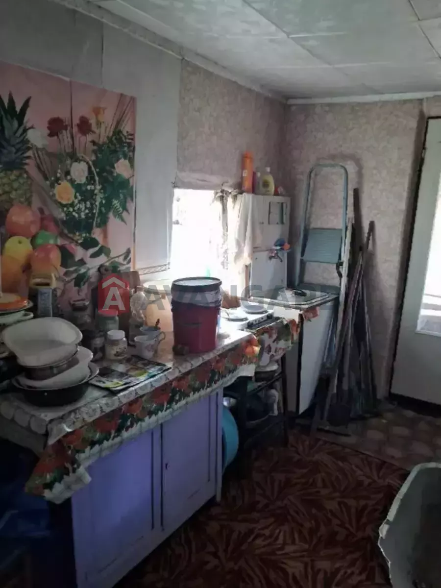 ����� ����, 50 ��.�. ���� 5