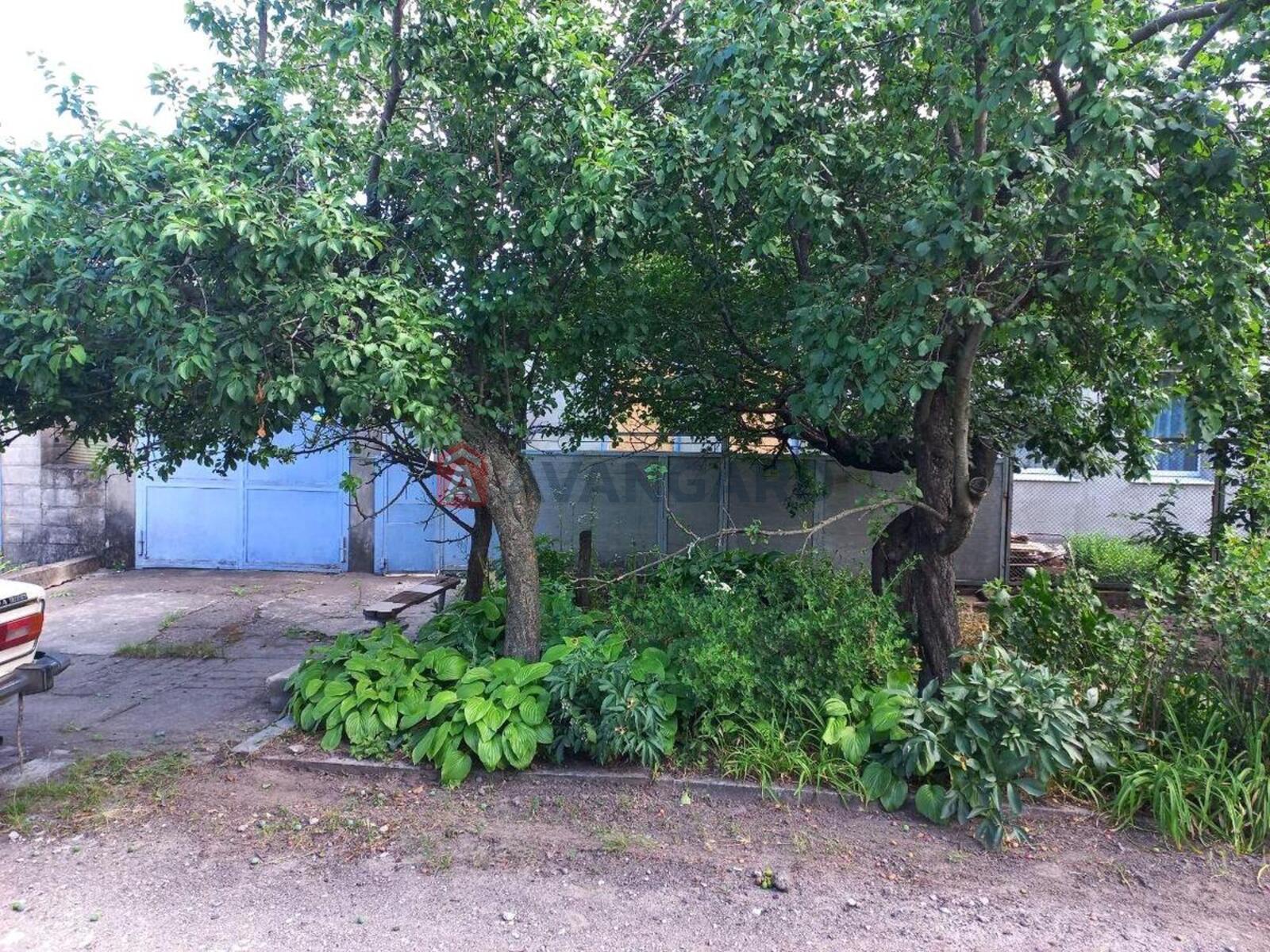 ����� ����, 51 ��.�. ���� 5