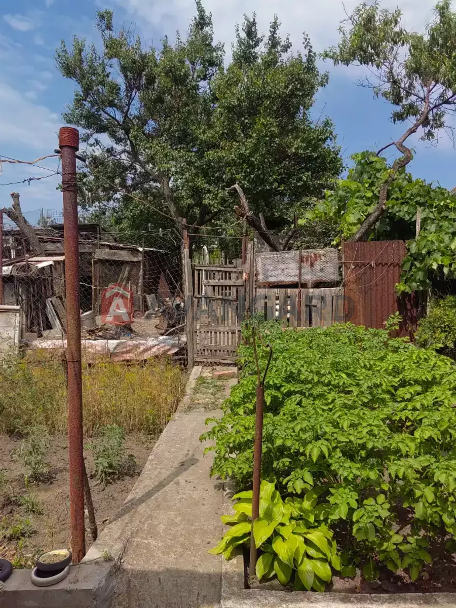 ������� �������, 76 ��.�. ���� 7