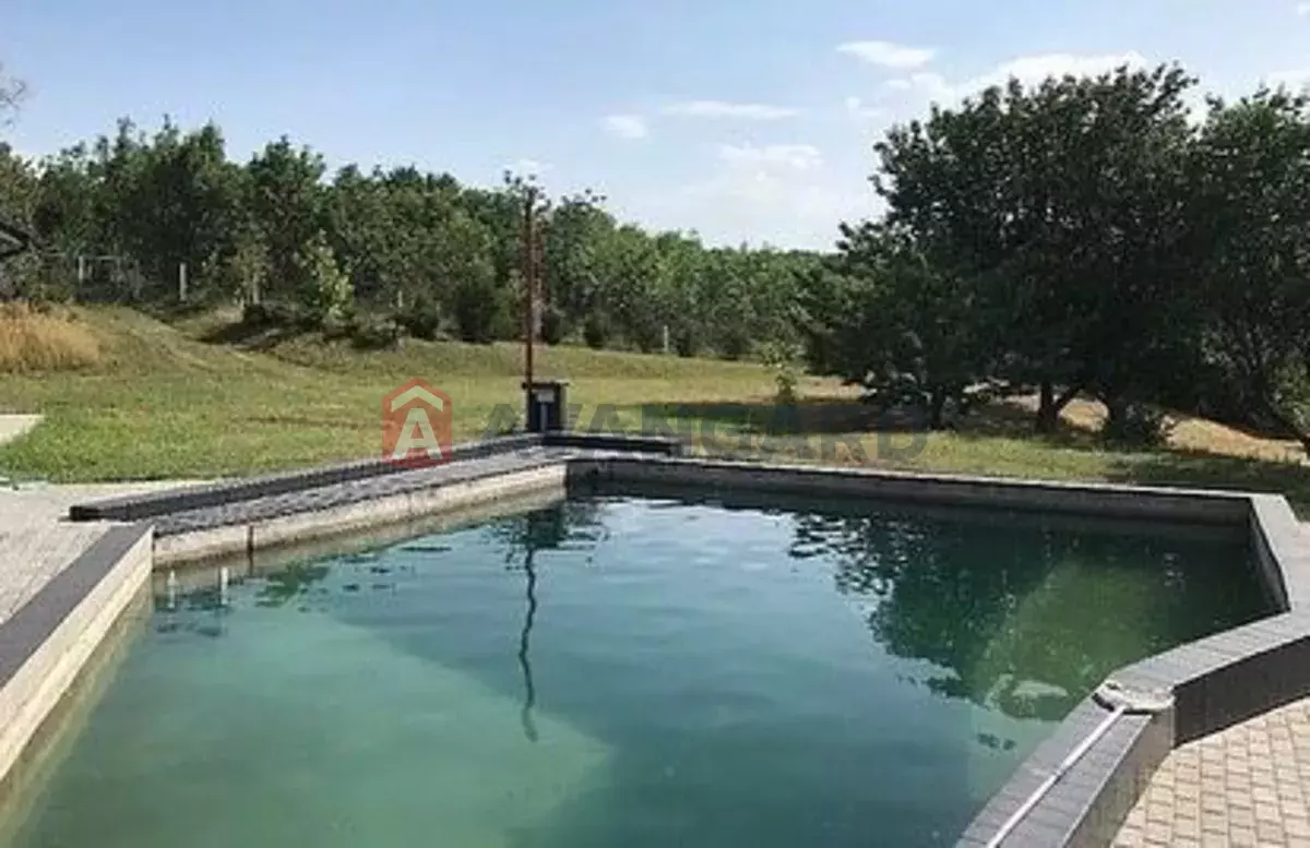 �������, 307 ��.�. ���� 5