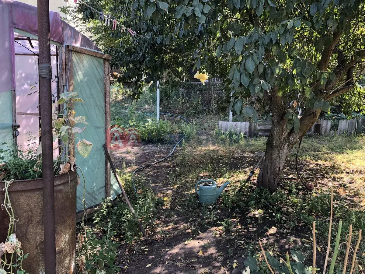 ������� �������, 85 ��.�. ���� 3