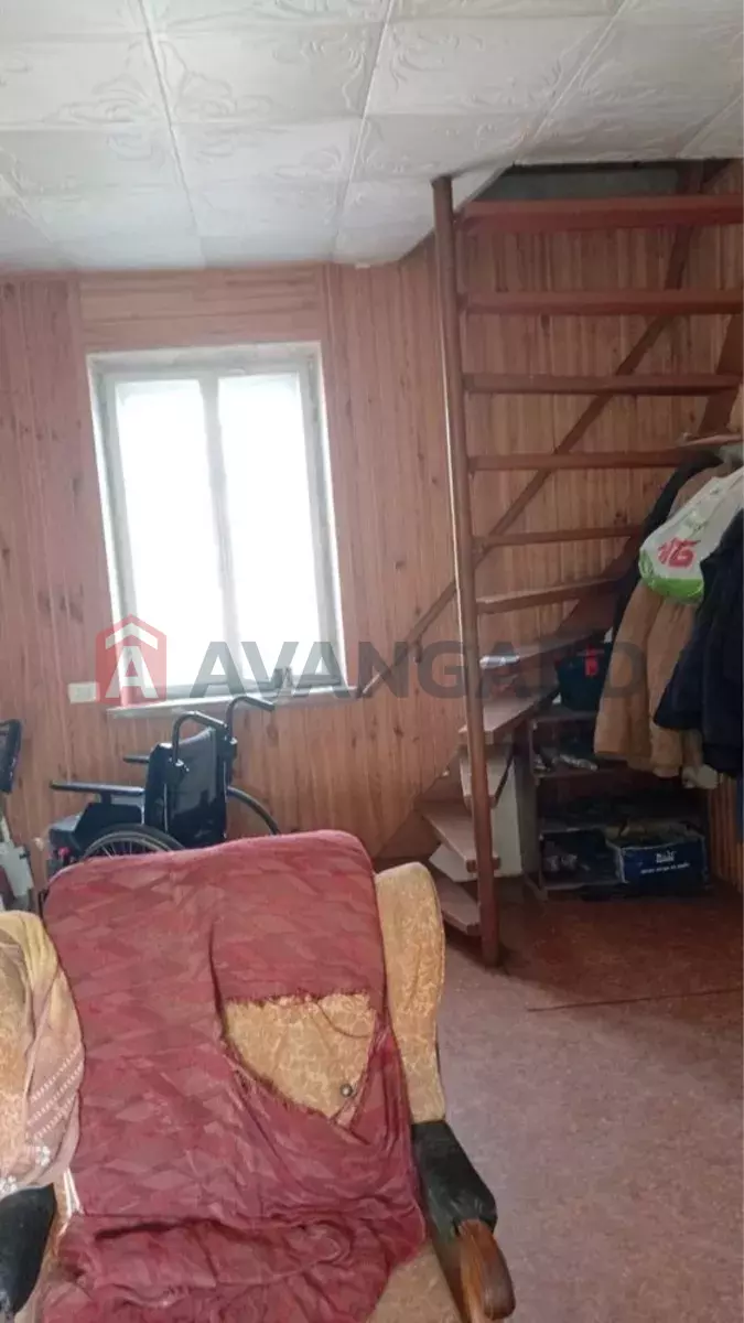 �������, 50 ��.�. ���� 4