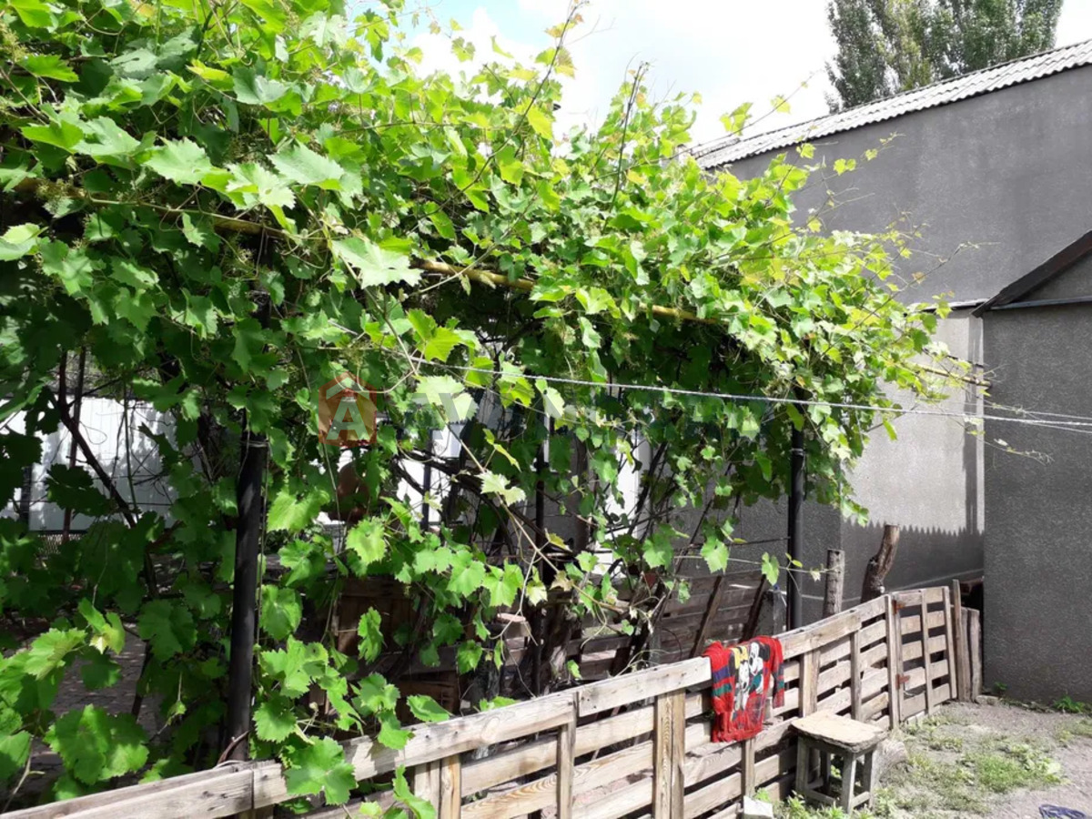 �������, 127 ��.�. ���� 10