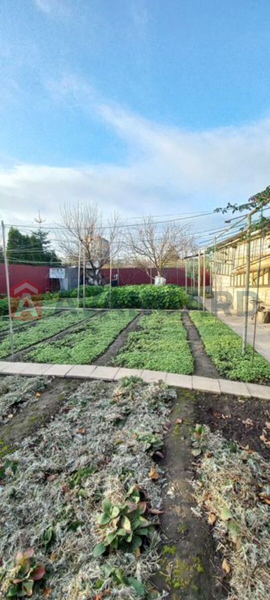 �������, 119 ��.�. ���� 5