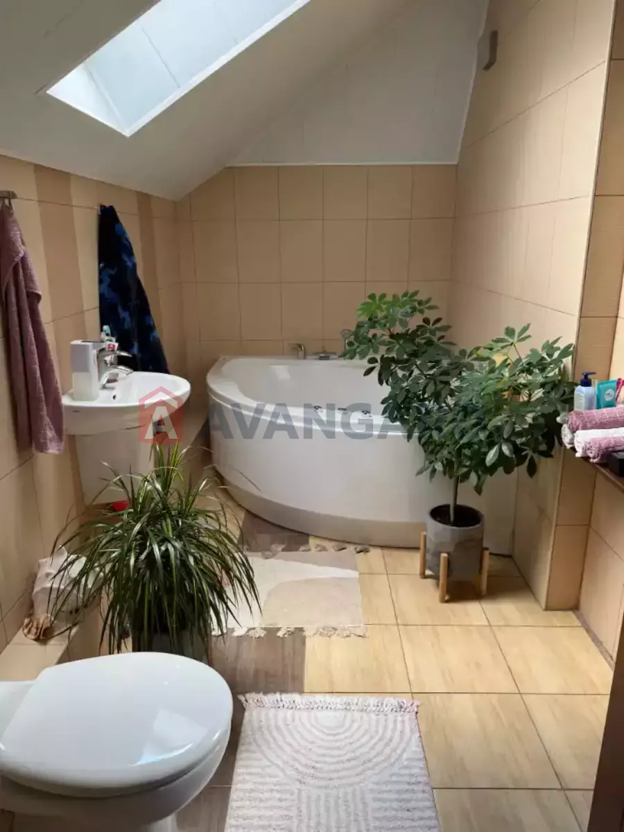 �������, 240 ��.�. ���� 13