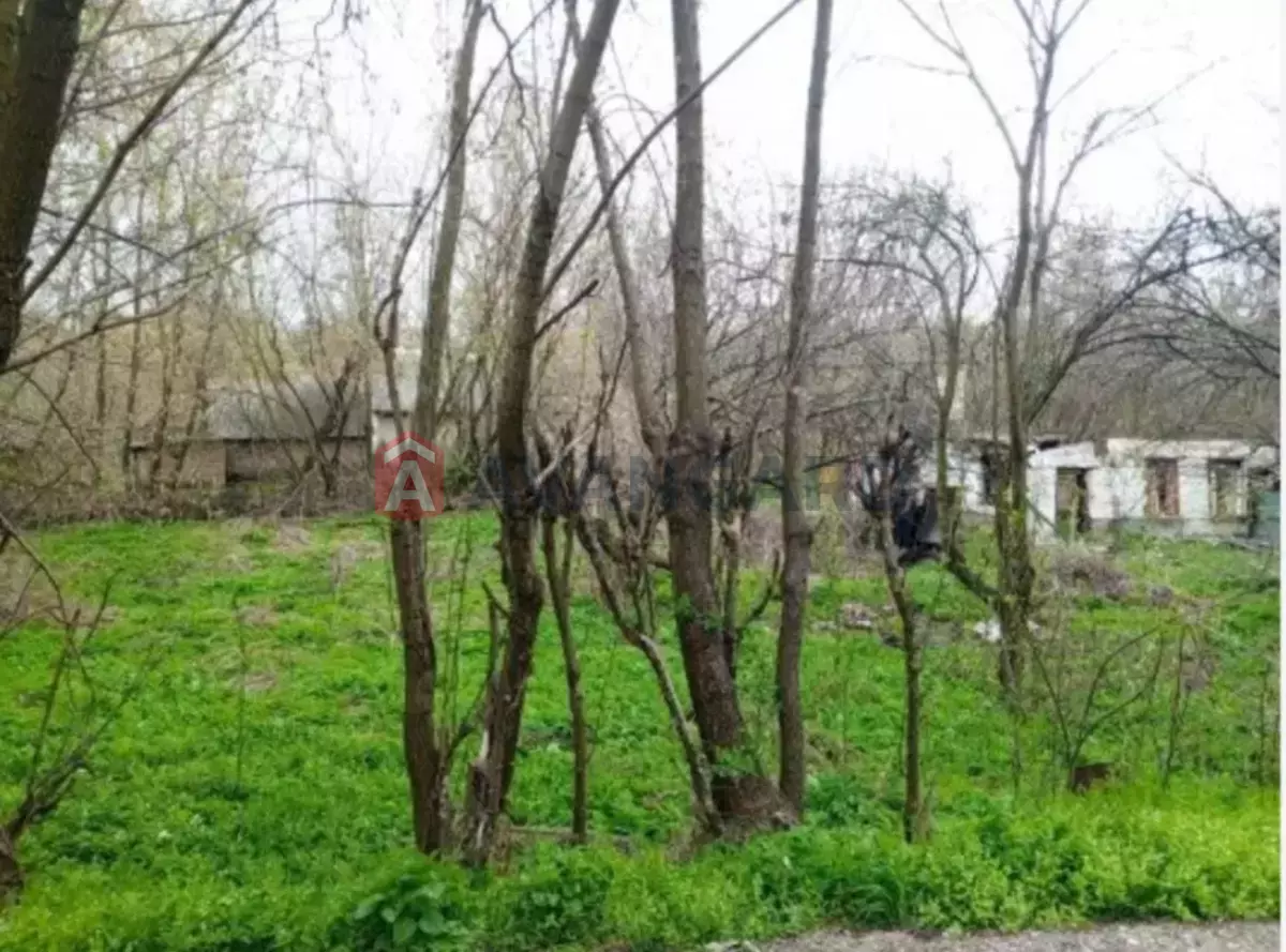 ���, 38 ��.�. ���� 4