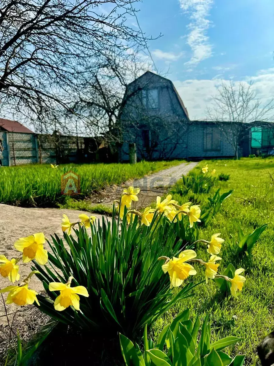 ����, 60 ��.�. ���� 1