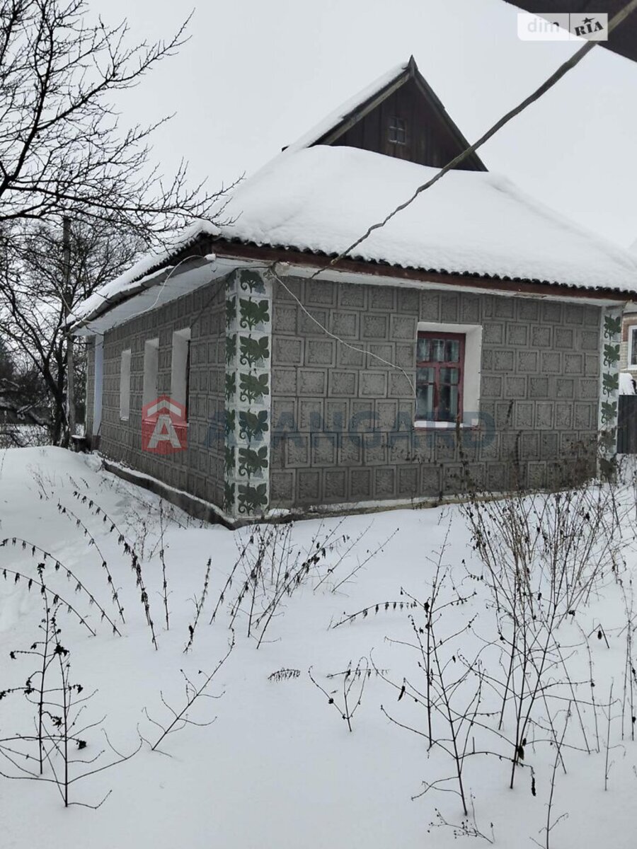 �������, 40 ��.�. ���� 8