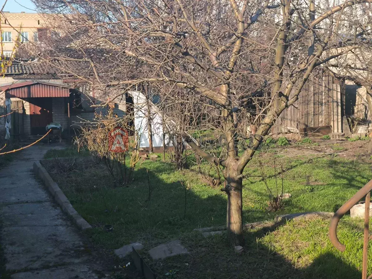 �������, 53 ��.�. ���� 15