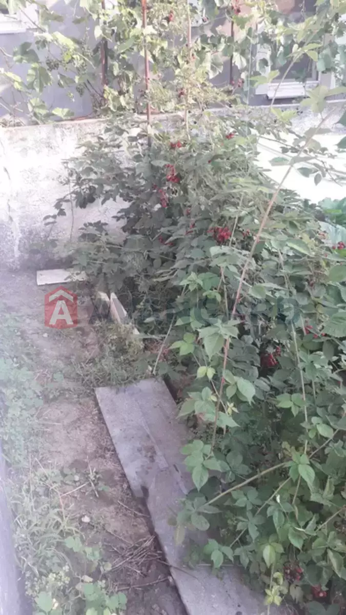  , 50 ..  4