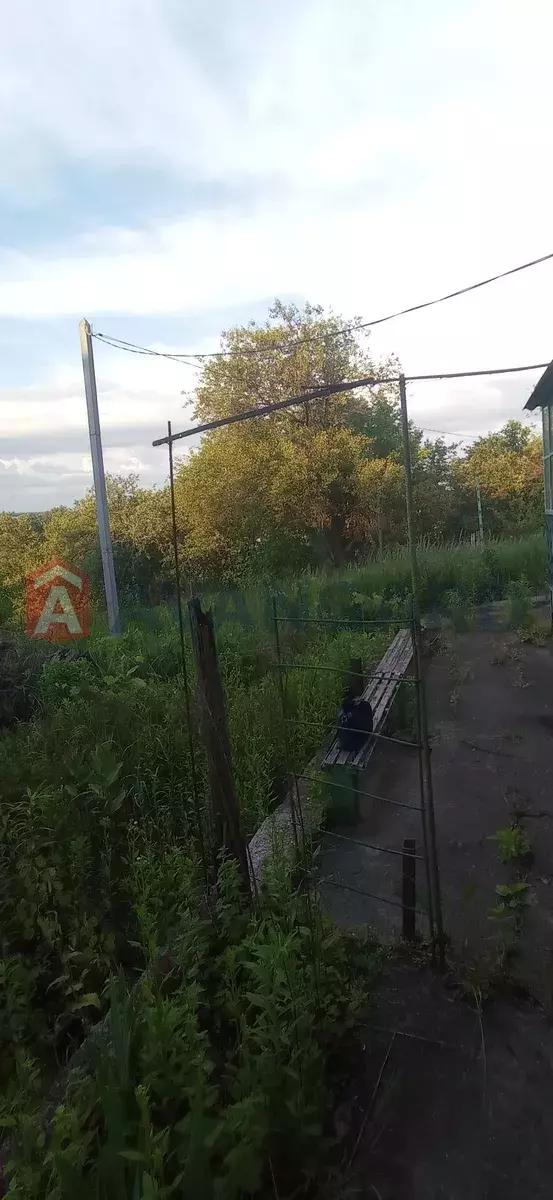 ����, 23 ��.�. ���� 5