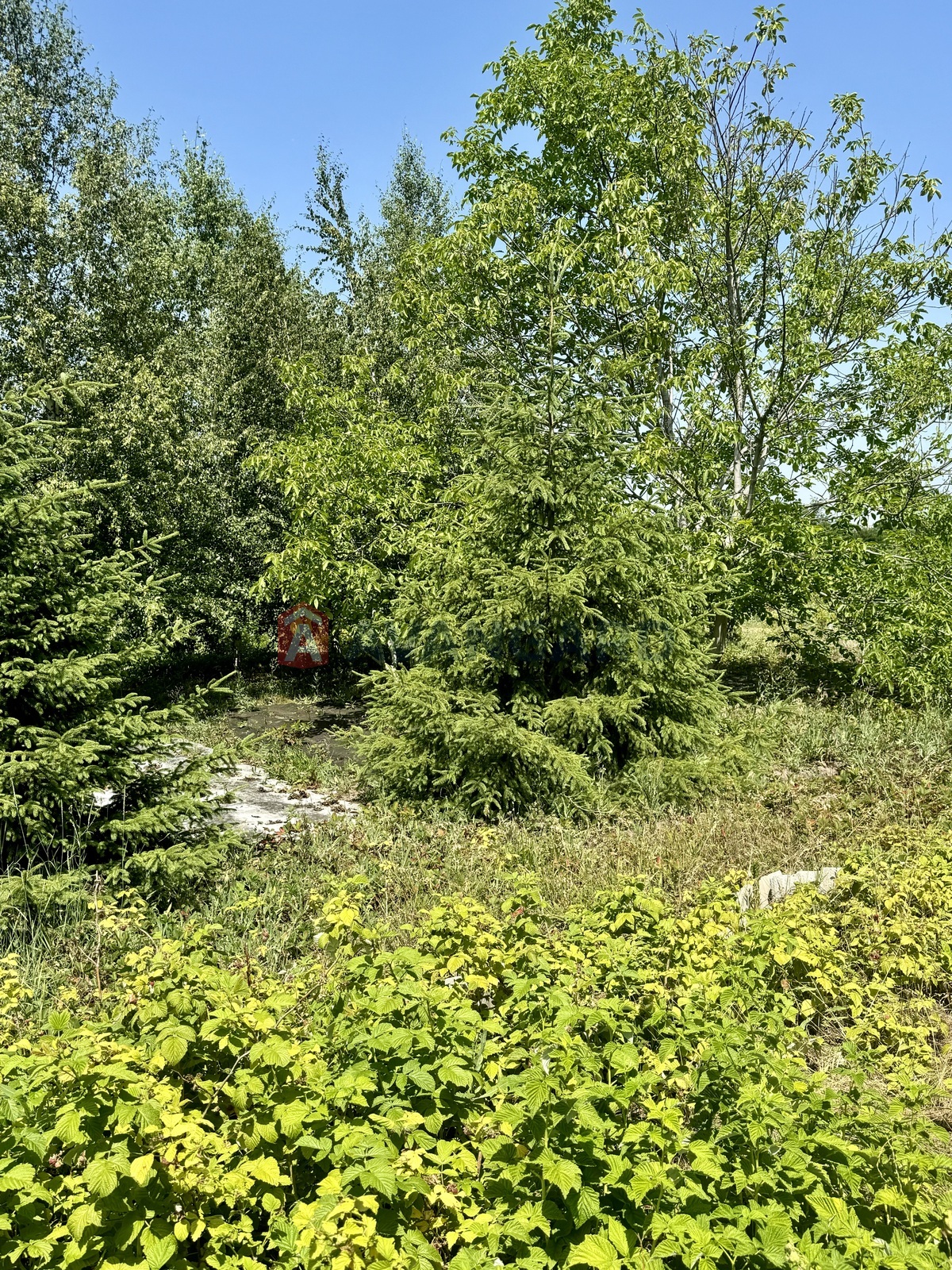 ���, 191 ��.�. ���� 15