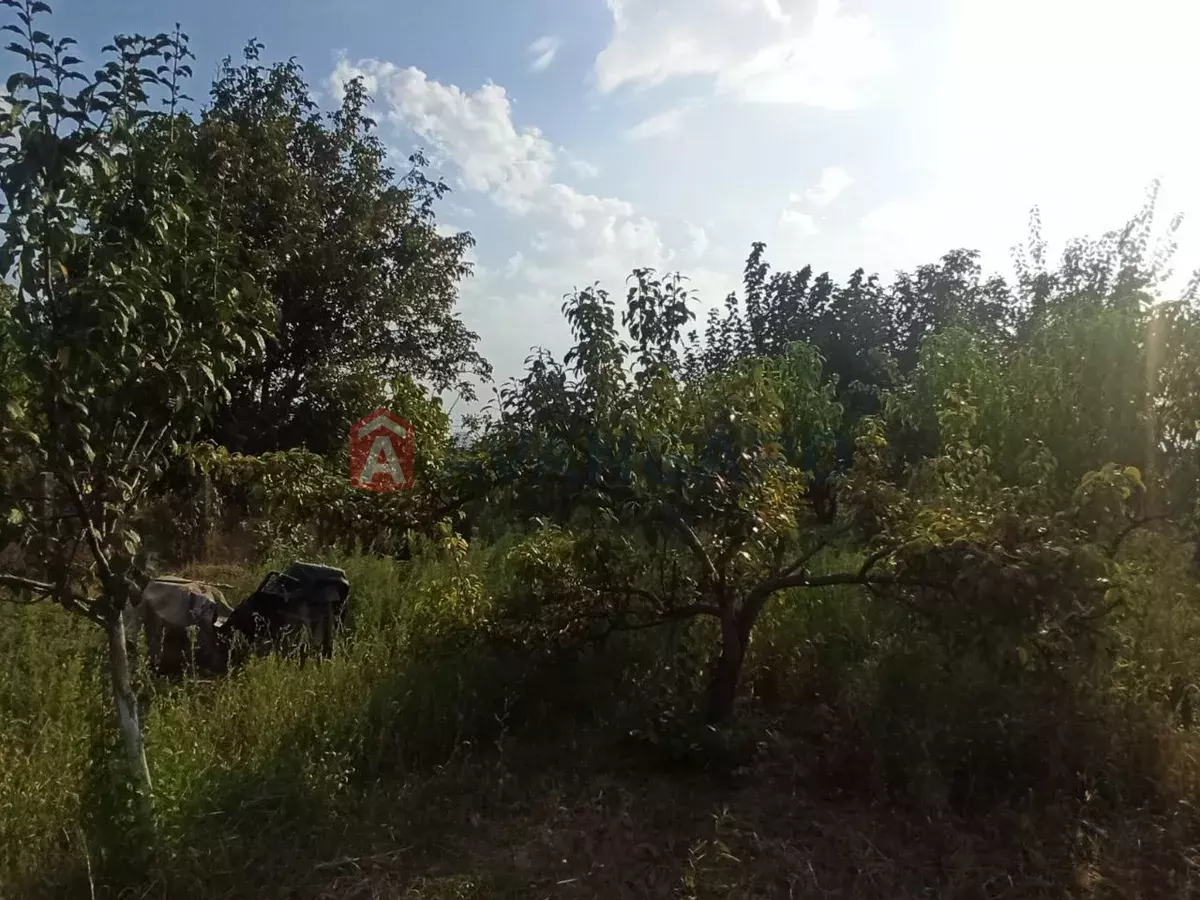 �������, 220 ��.�. ���� 3