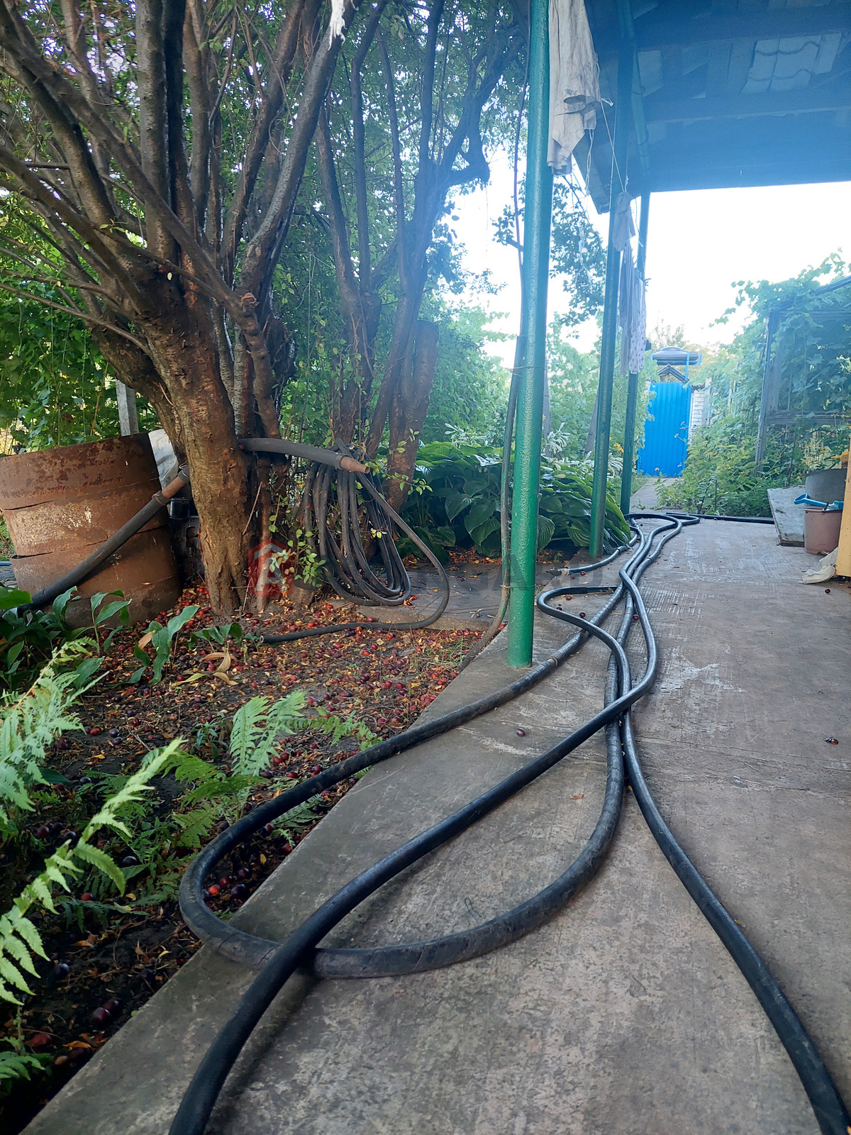 ����, 25 ��.�. ���� 1