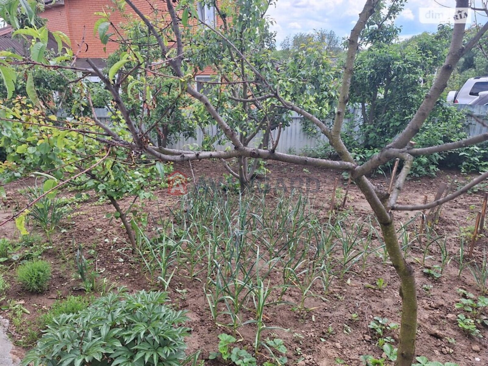 �������, 143 ��.�. ���� 22