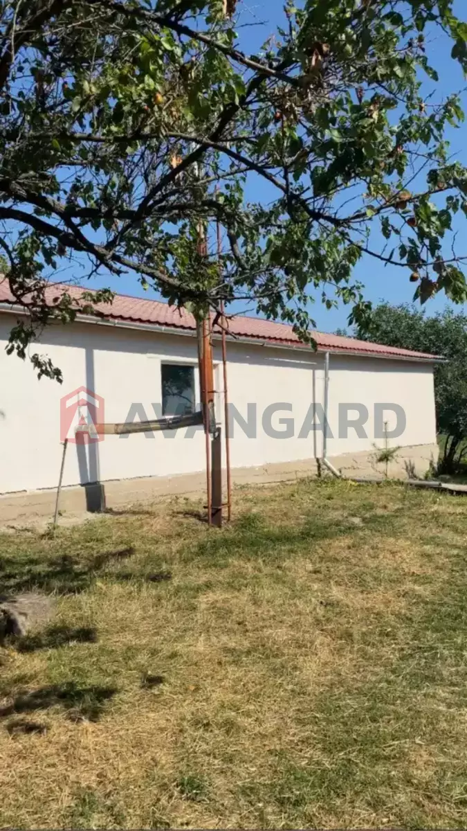 �������, 156 ��.�. ���� 4