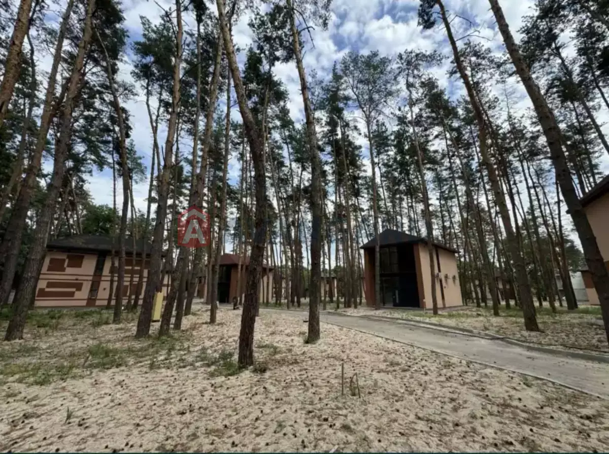 100 ��.�. ���� 2