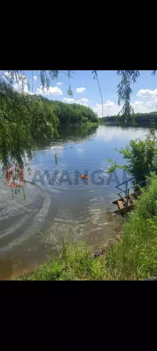 ����, 38 ��.�. ���� 3