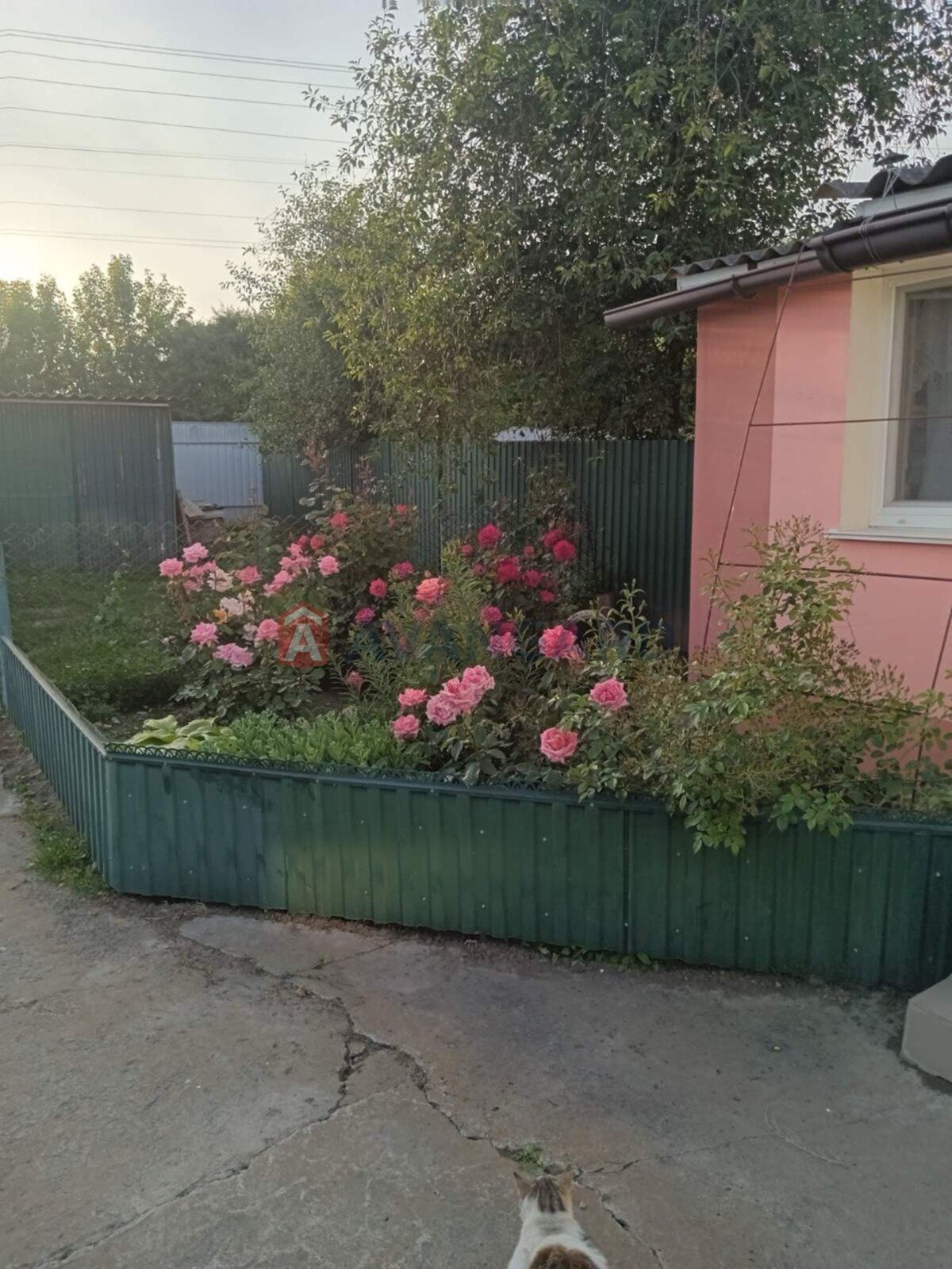 �������, 65 ��.�. ���� 28