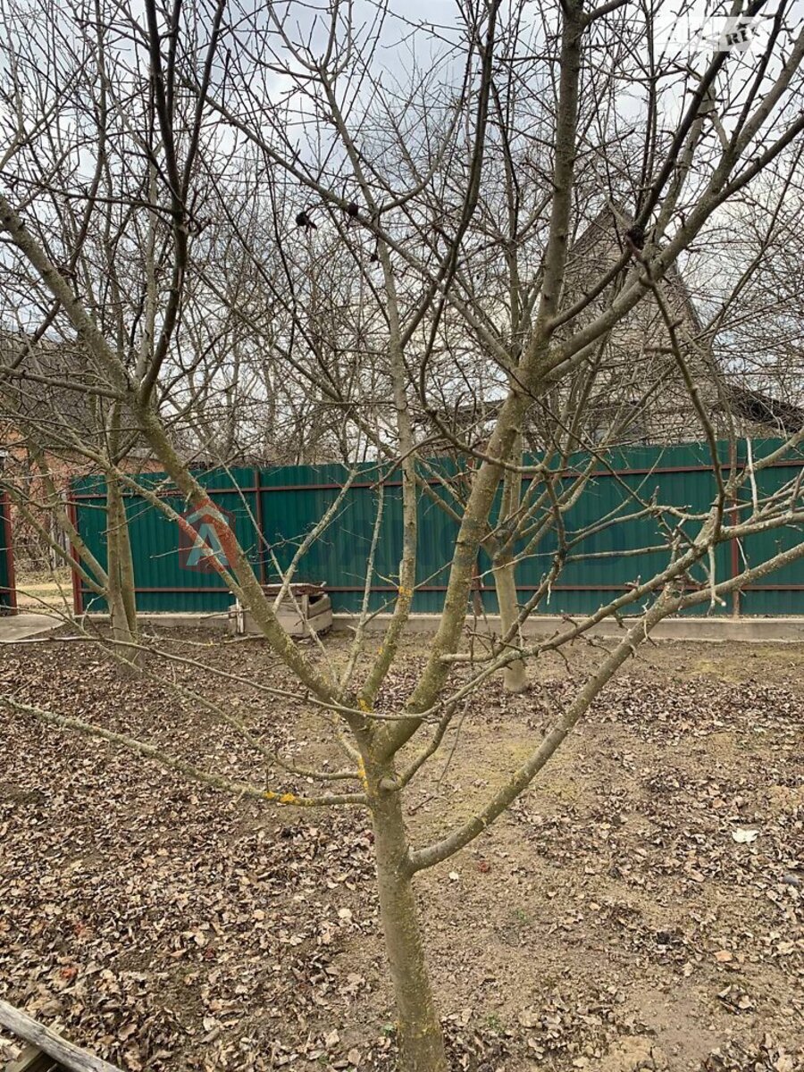 ����, 16 ��.�. ���� 11