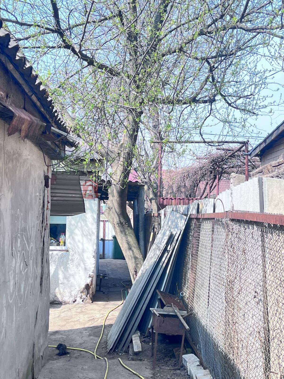 ���, 50 ��.�. ���� 14