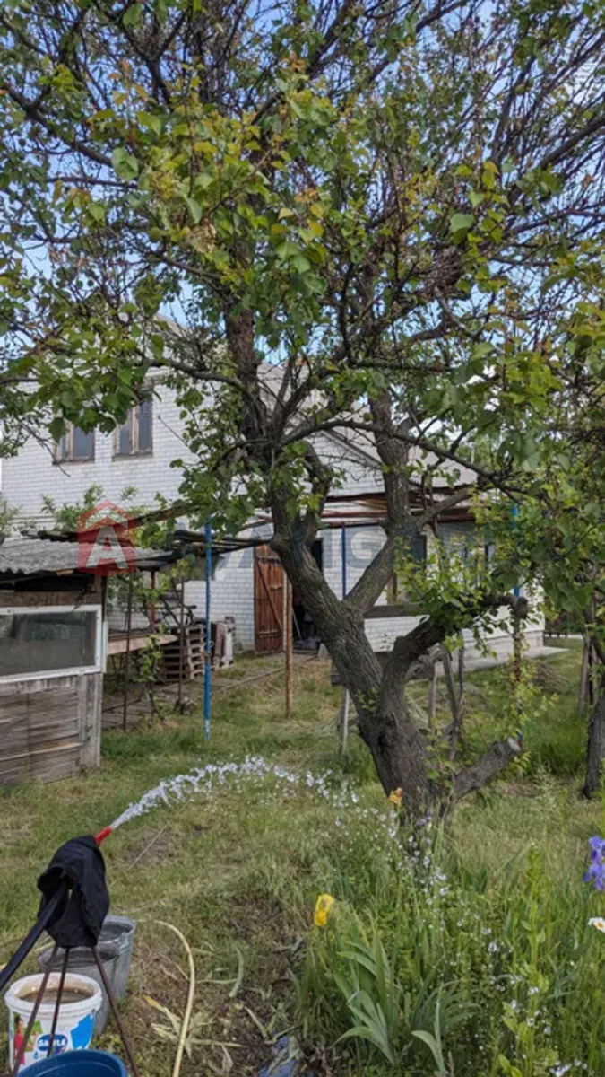 �������, 120 ��.�. ���� 4