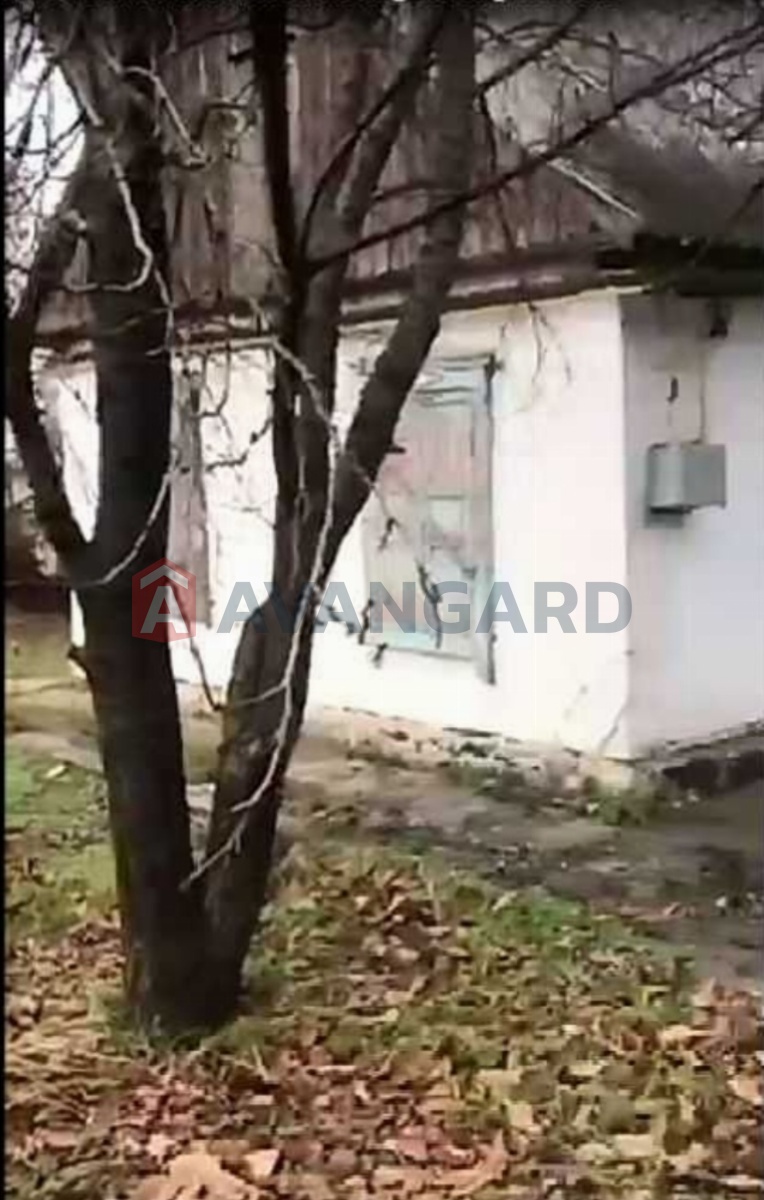 �������, 48 ��.�. ���� 1